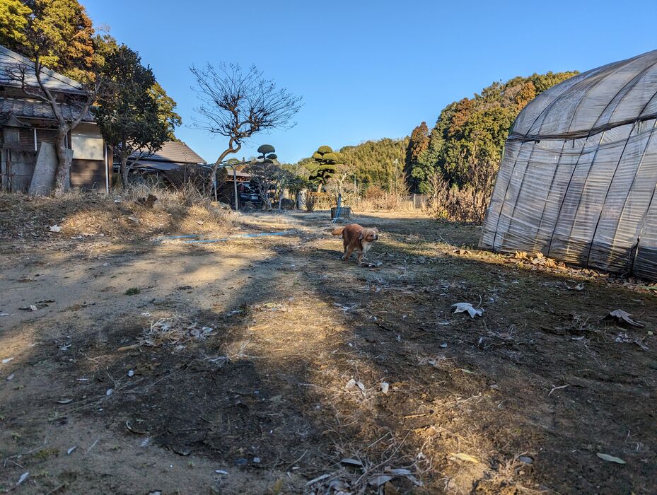 画像1344