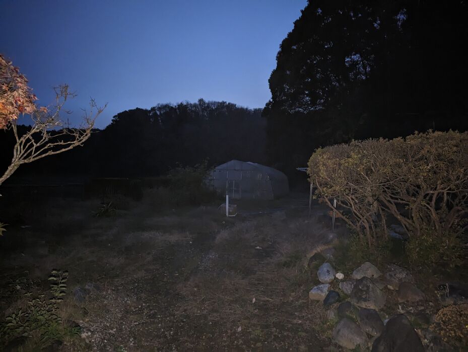 画像1347