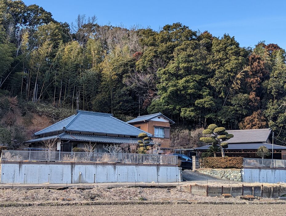 画像1393