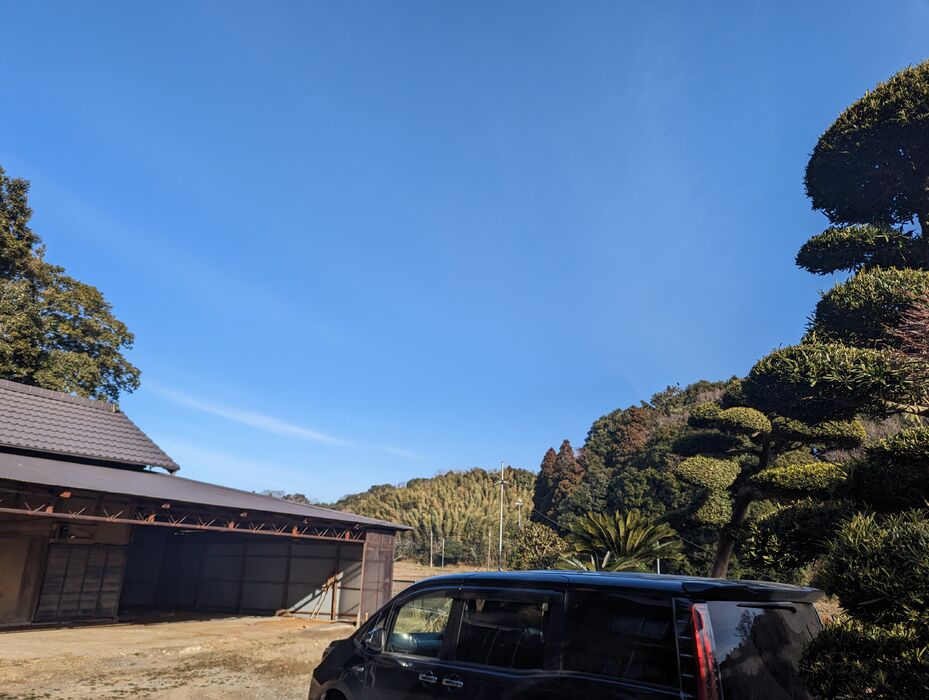 画像1399