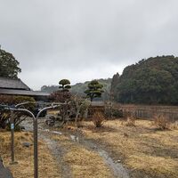 画像1428