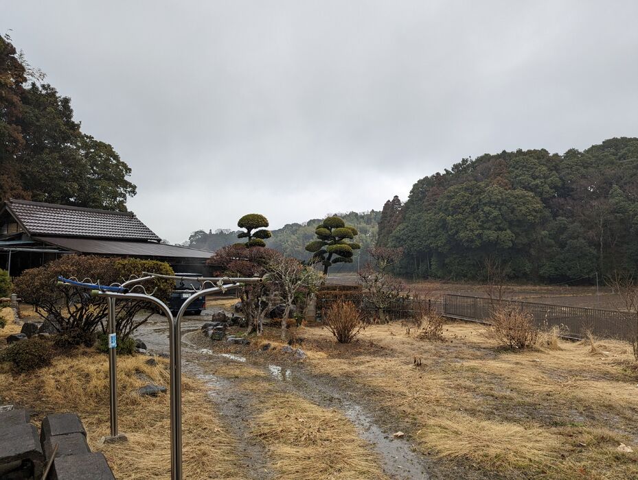 画像1428
