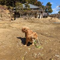 画像1452