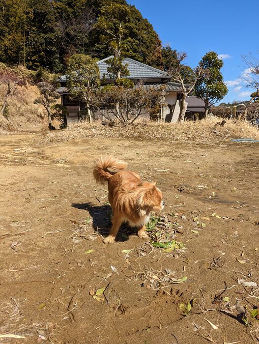 画像1452
