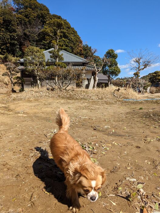 画像1453