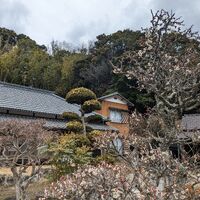 画像1468