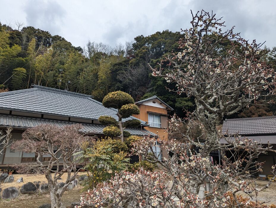 画像1468