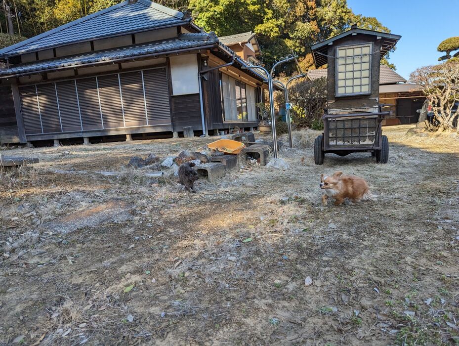 画像1480