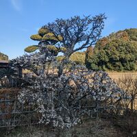 画像1484