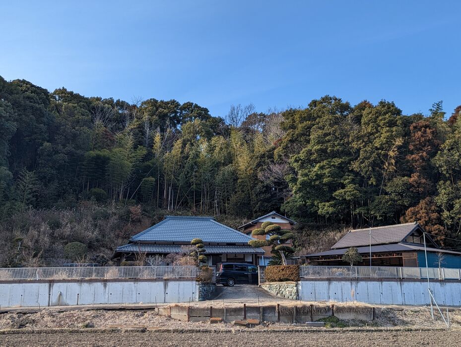 画像1515