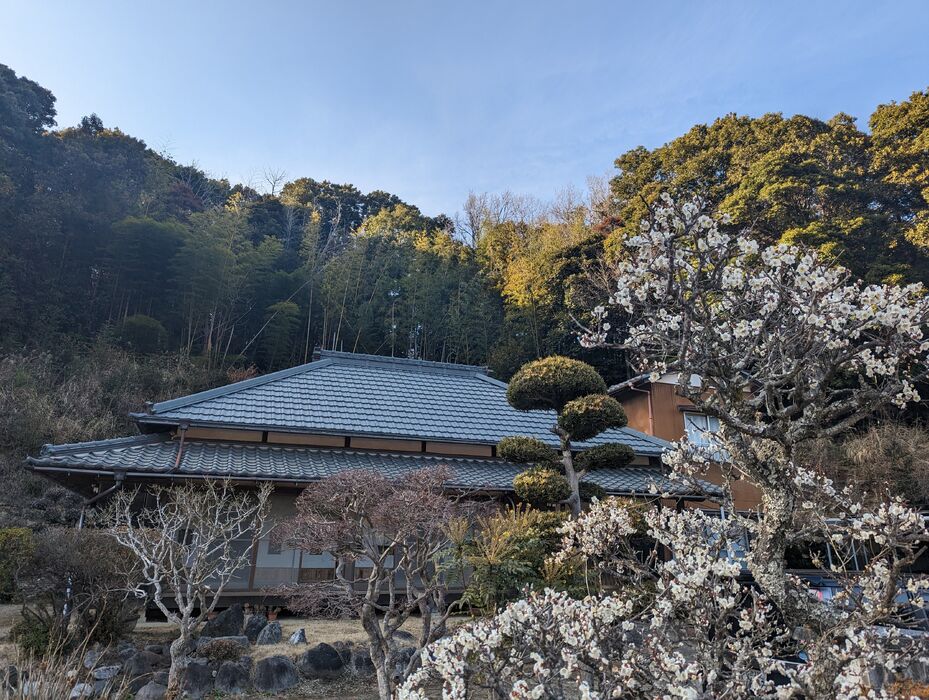 画像1519