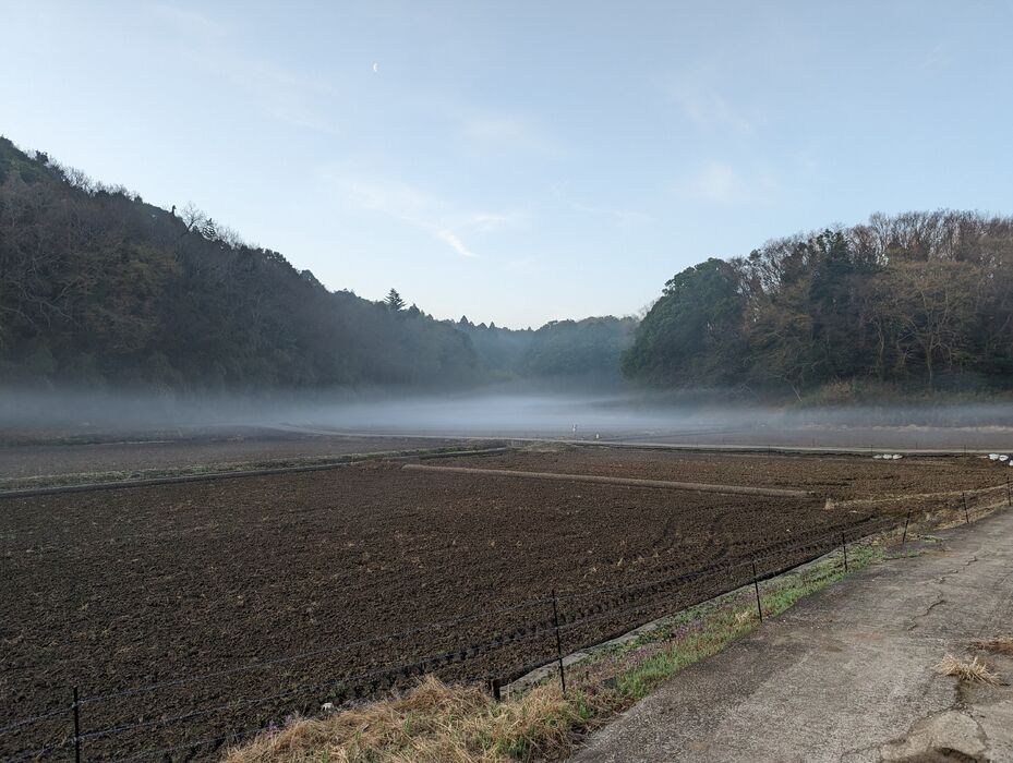 画像1542
