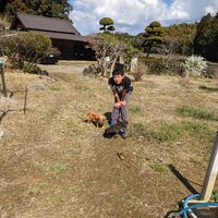 画像1569