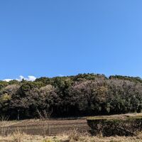 画像1571