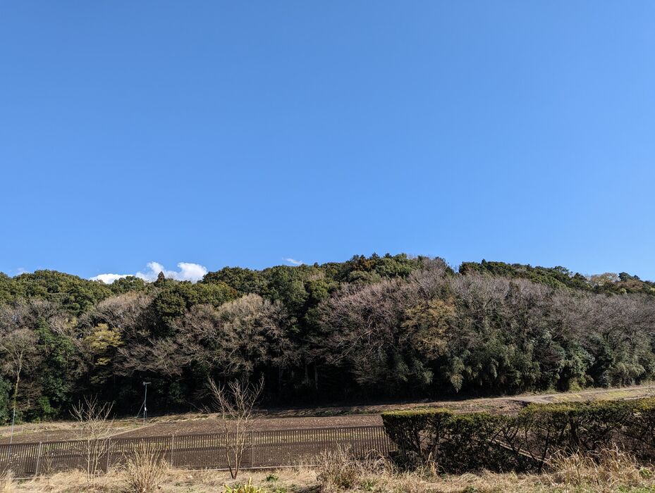 画像1571