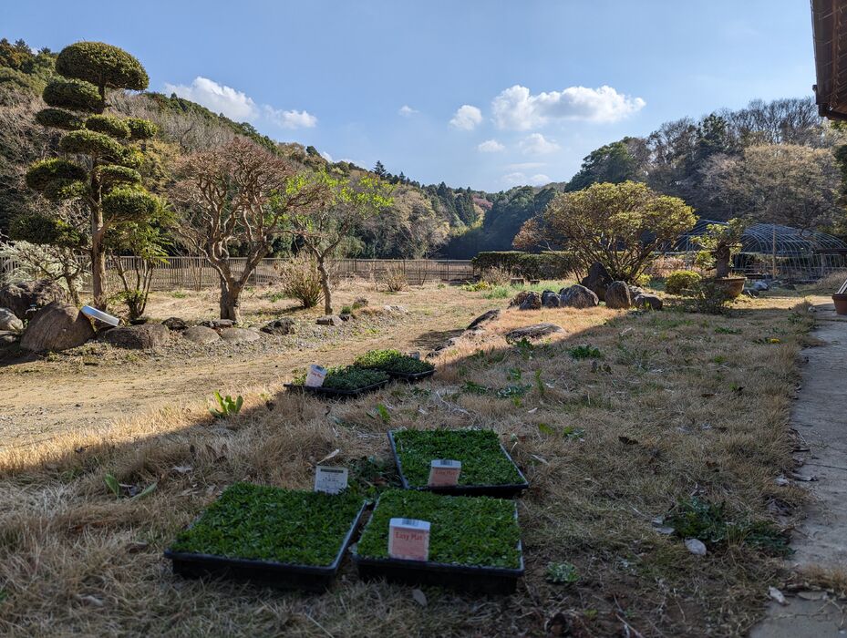 画像1573