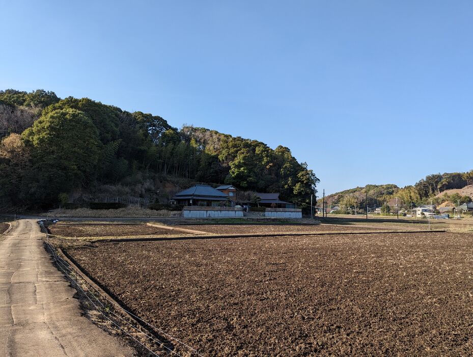 画像1587