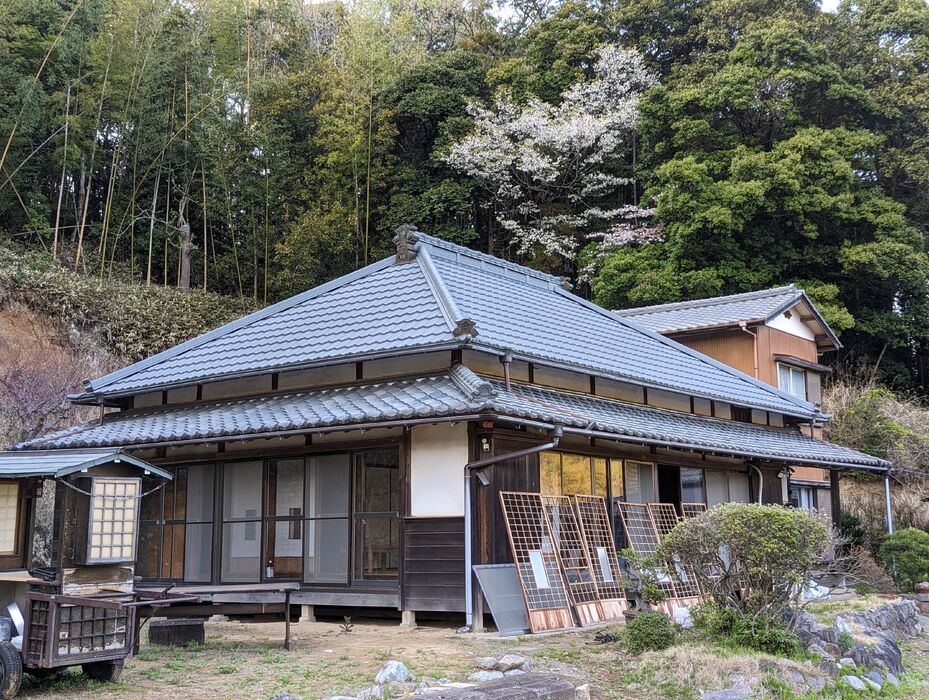 画像1595