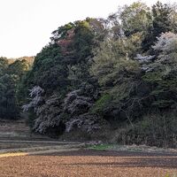 画像1598