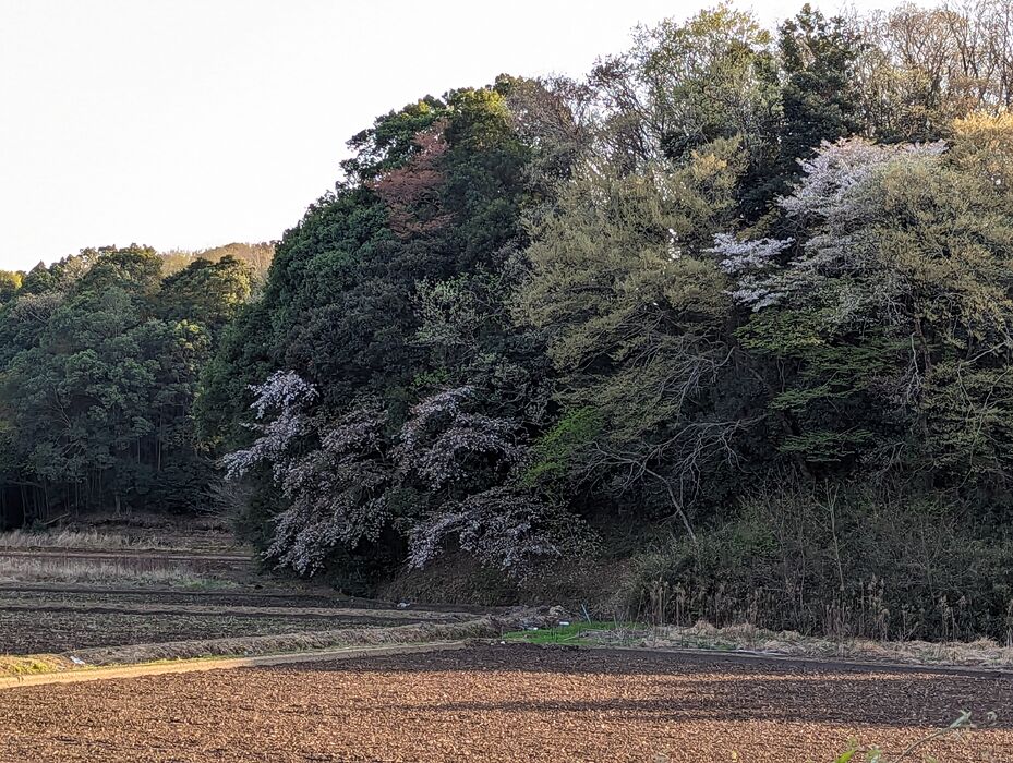 画像1598