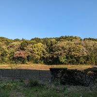 画像1599