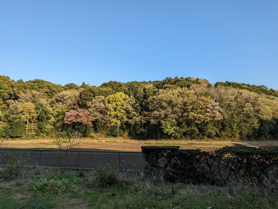 画像1599