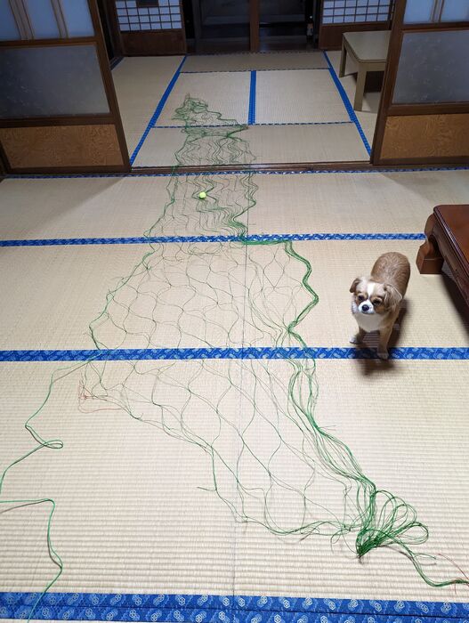 画像1601