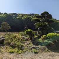 画像1743