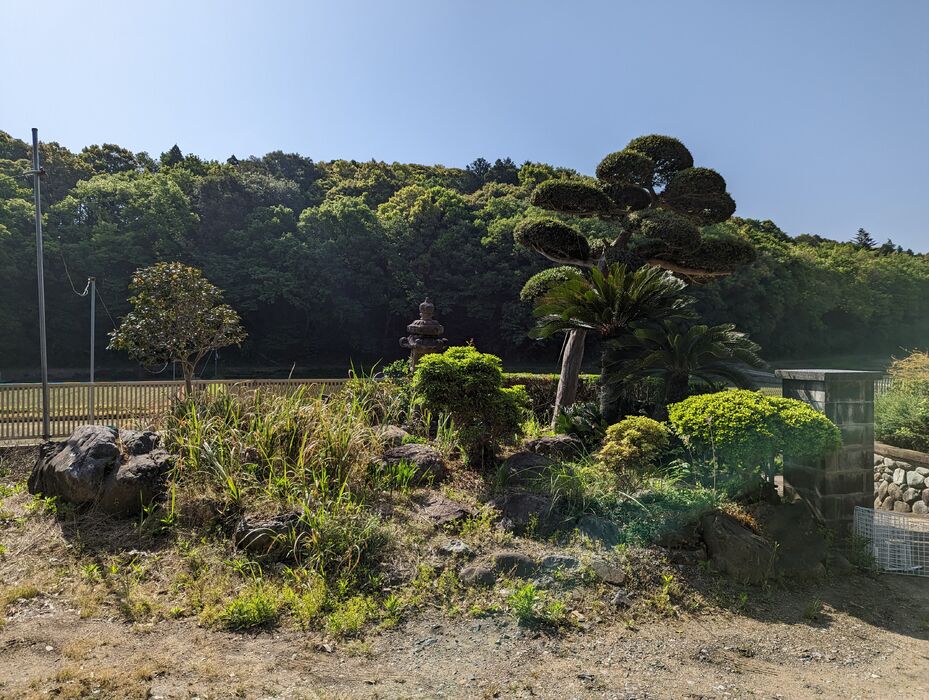 画像1743