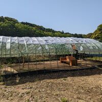 画像1748