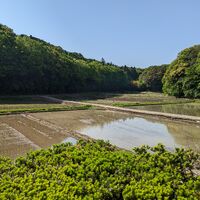 画像1752