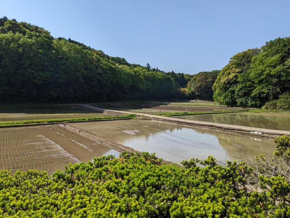 画像1752