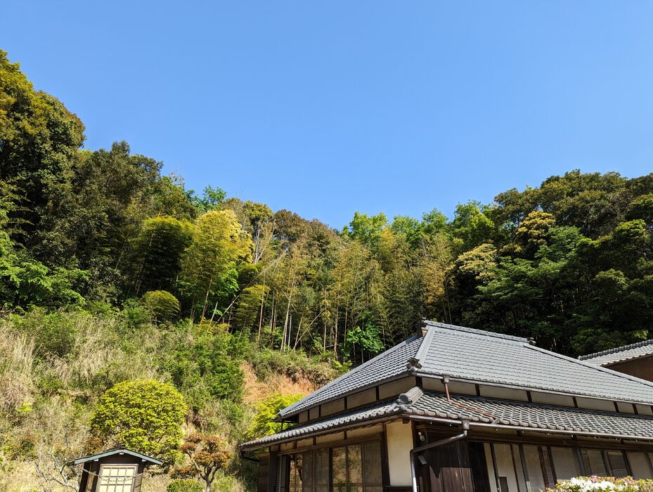 画像1753