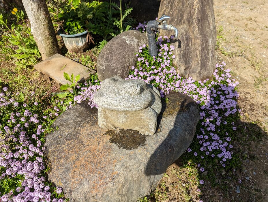 画像1754
