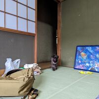 画像1757