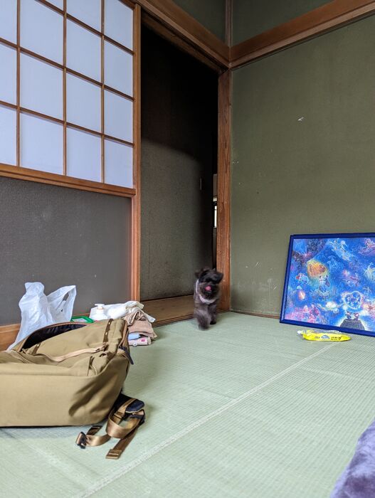 画像1757