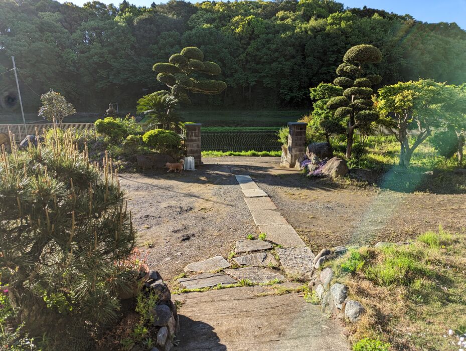 画像1761