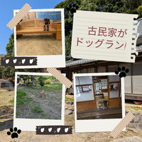 画像1802