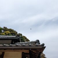 画像1806