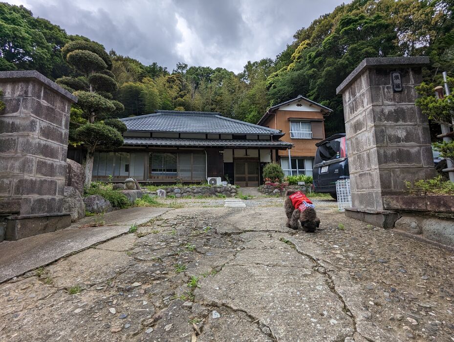 画像1824