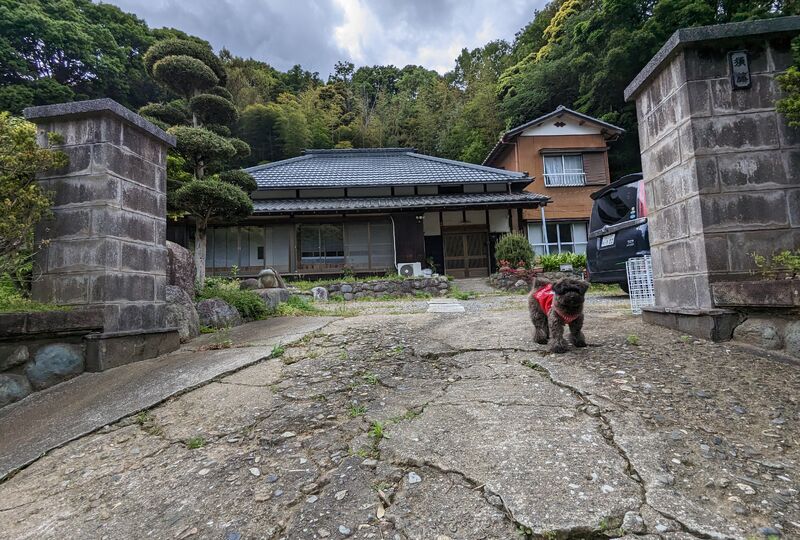 画像1841