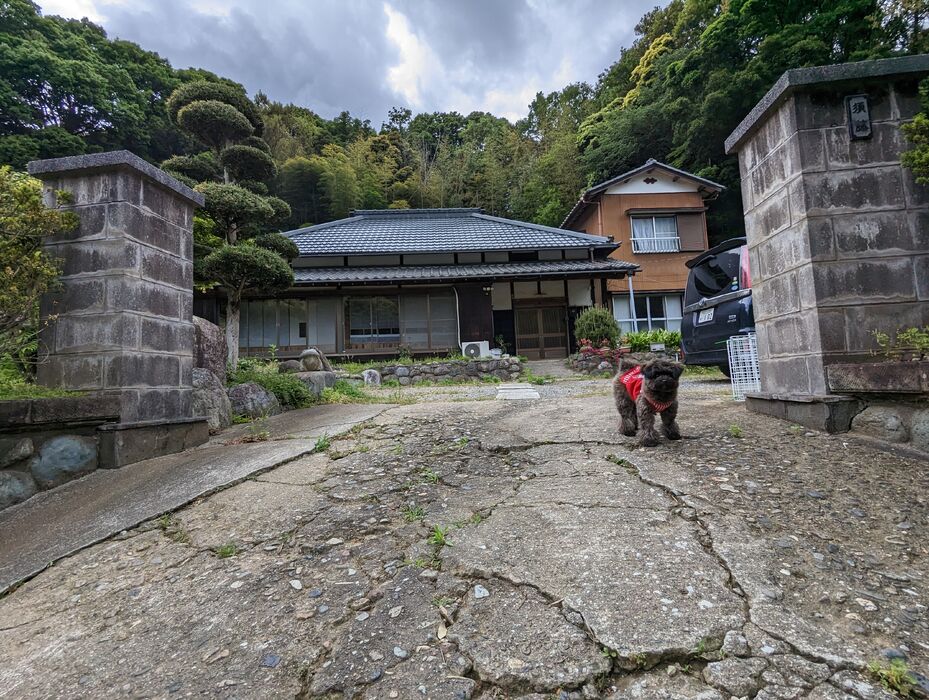 画像1841